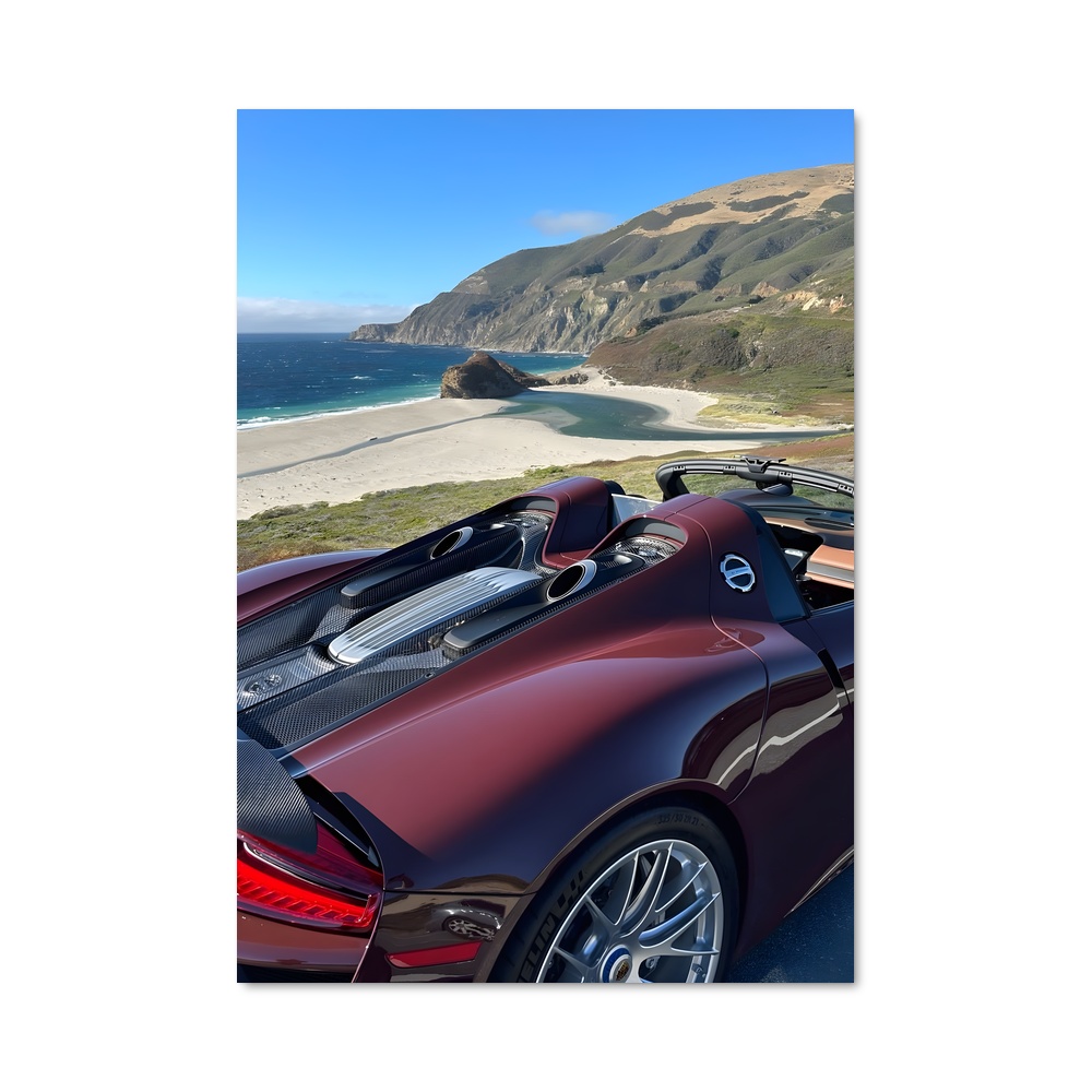 Poster spyder fascinant